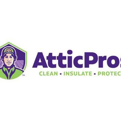 Attic Pros